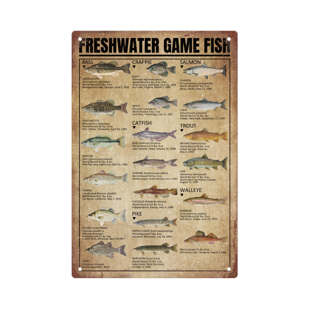 Fishing Vintage Metal Tin Sign Freshwater Game Fish Wall Art - Temu