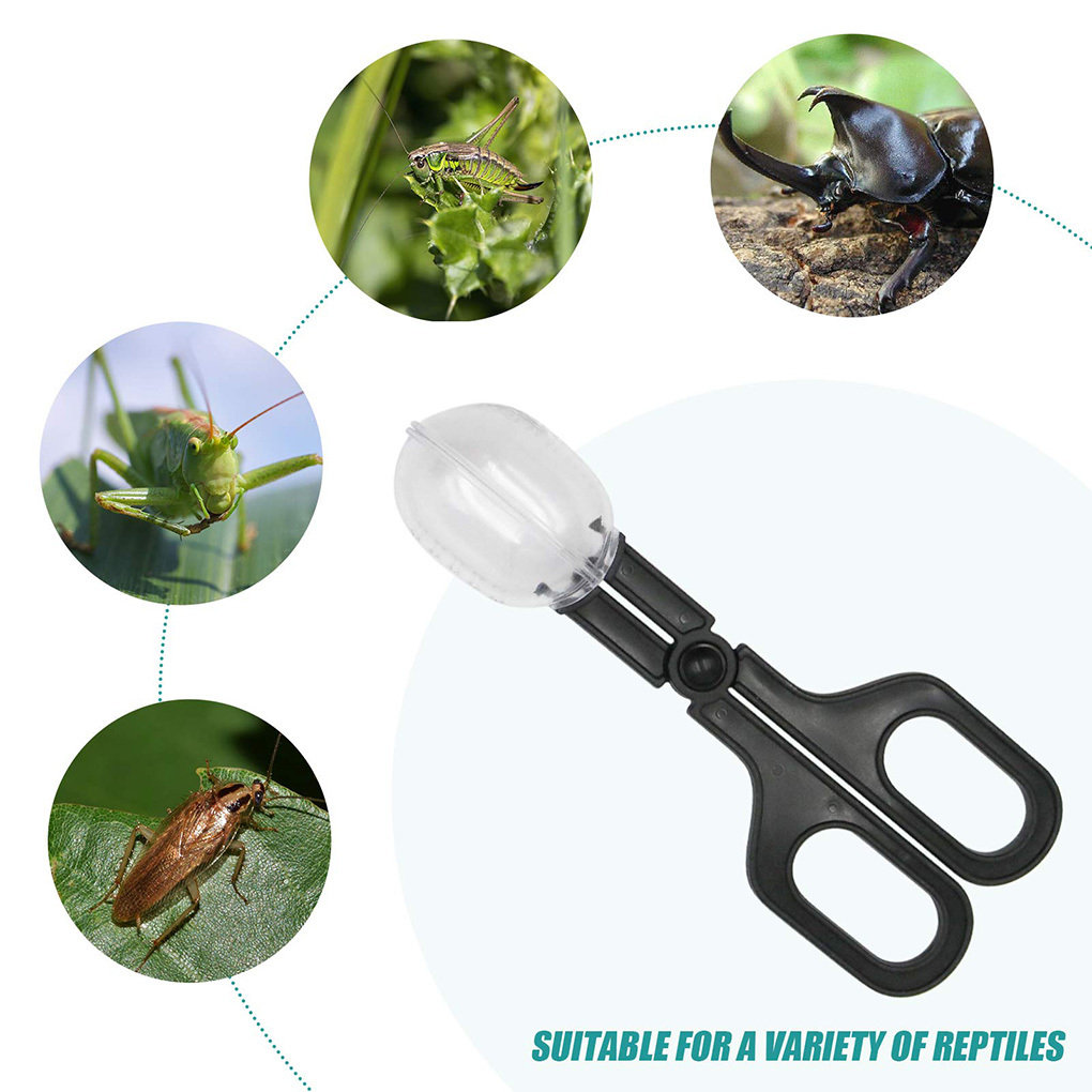 Bug Insect Catcher Scissors Tongs Tweezers Scooper Clamp - Temu