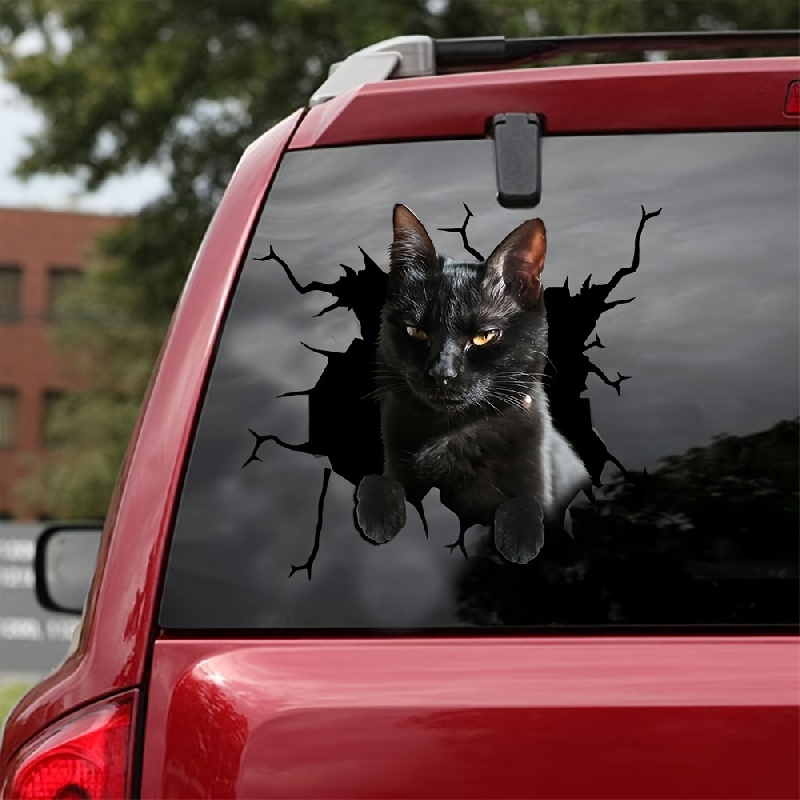 Pegatina Gato Coche Calcomanía Impermeable Colores Efecto 3d - Temu