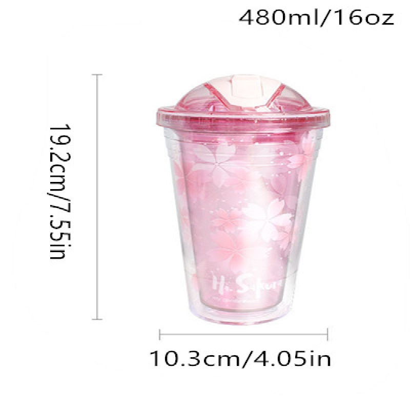 16.23oz Ins Double Layer Tumbler Water Drinking Cup With Straw Bottle Cute  Colourful Reusable Plastic Gift Present Hadiah