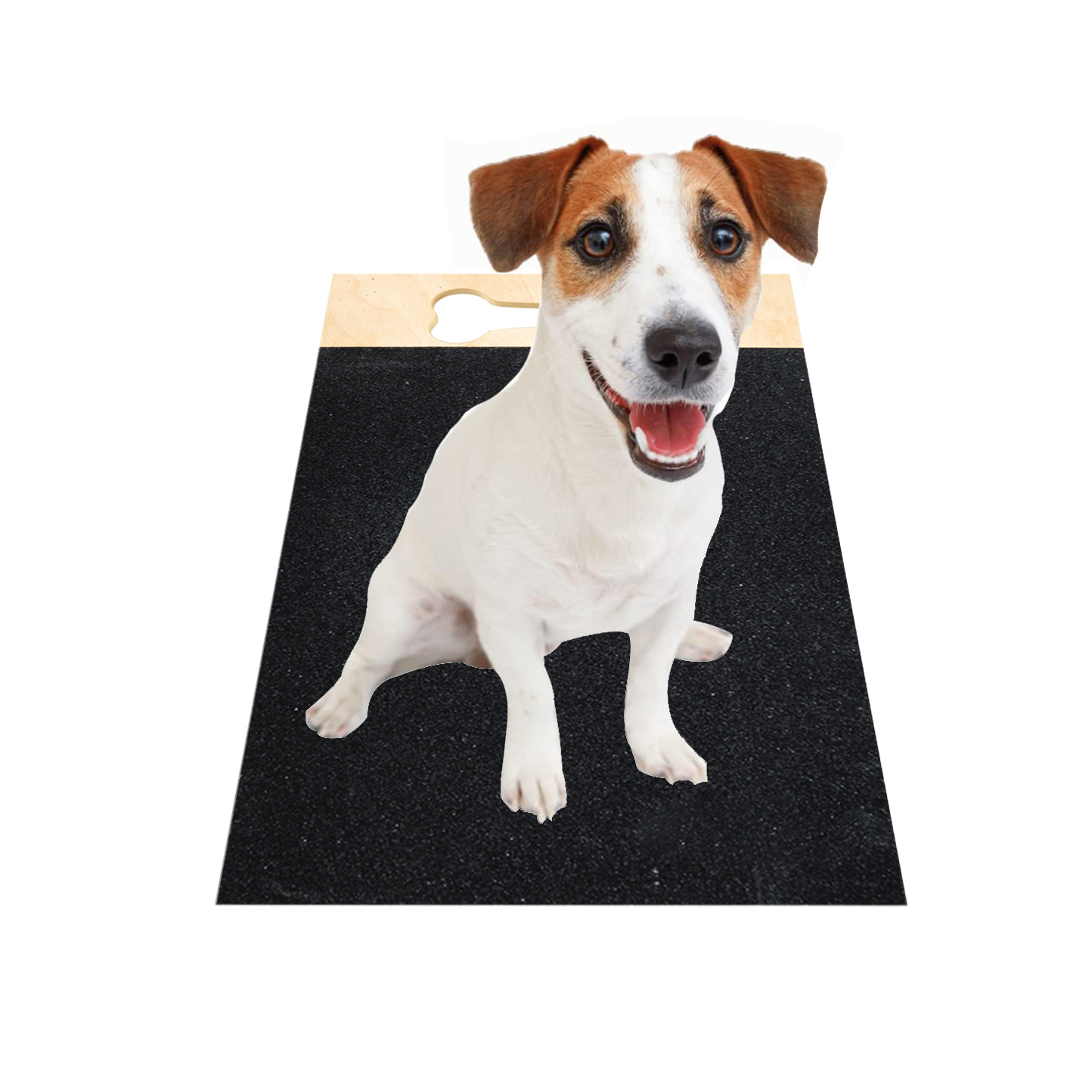 Dog Nail Scratch Pad Scratch Square Board Small Medium Dogs Temu