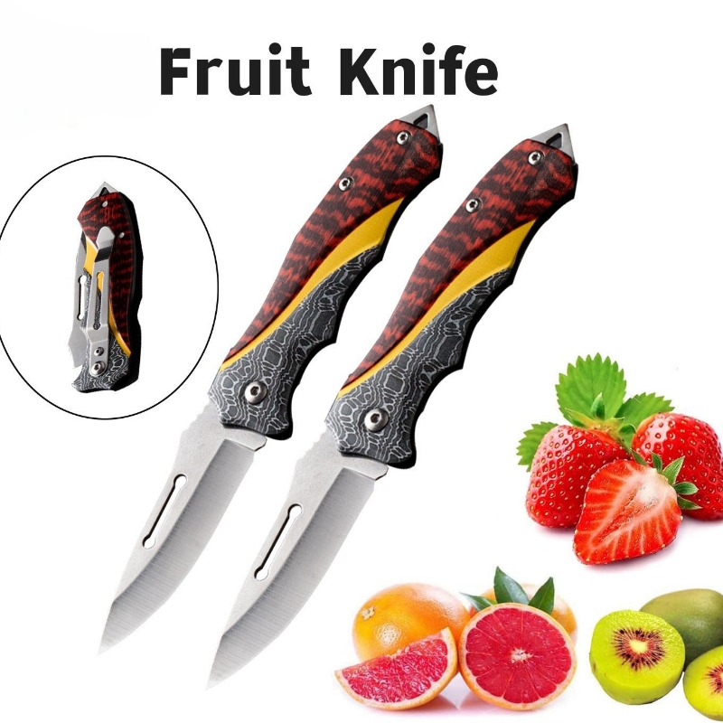 1pc Mini Stainless Steel Fruit Folding Knife Compact Multi