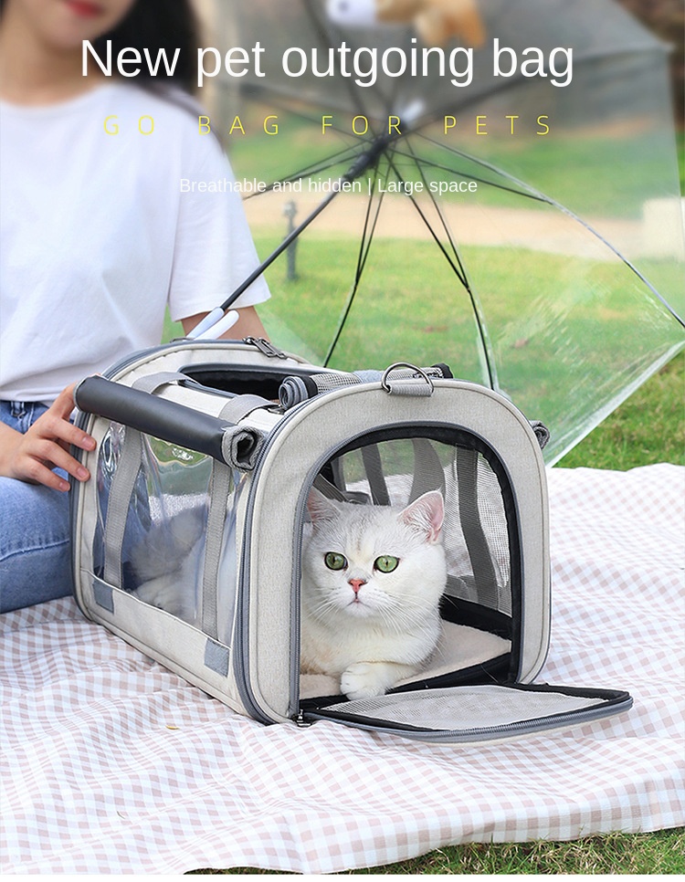 The Best Travel Carrier for Cats and Small Dogs