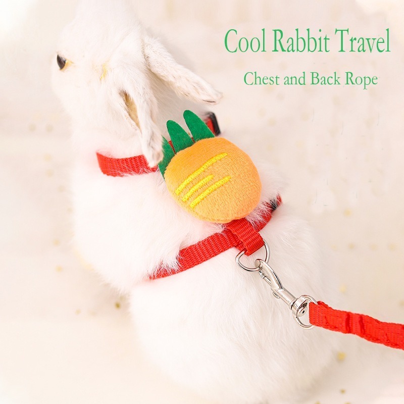 Windfall Bunny Rabbit Harness with Stretchy Leash Cute Adjustable