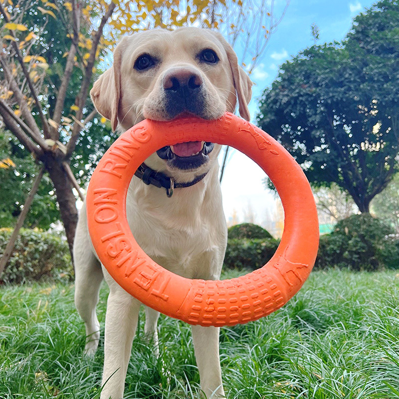 Dog Agility Training Toys Dogs Puppy Chew Toys Teeth Cleaning Bite  Resistant Interactive Dogs Toy Pet Supplies