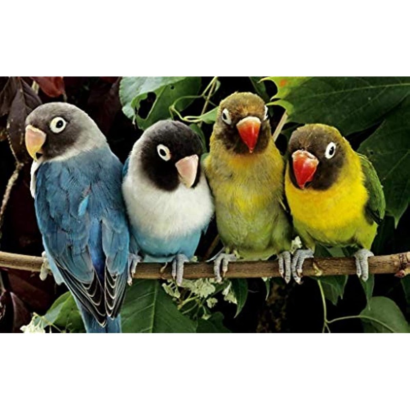 Noël Shop Jigsaw Puzzle Animal Pour Adultes Jouet De Puzzle - Temu Belgium