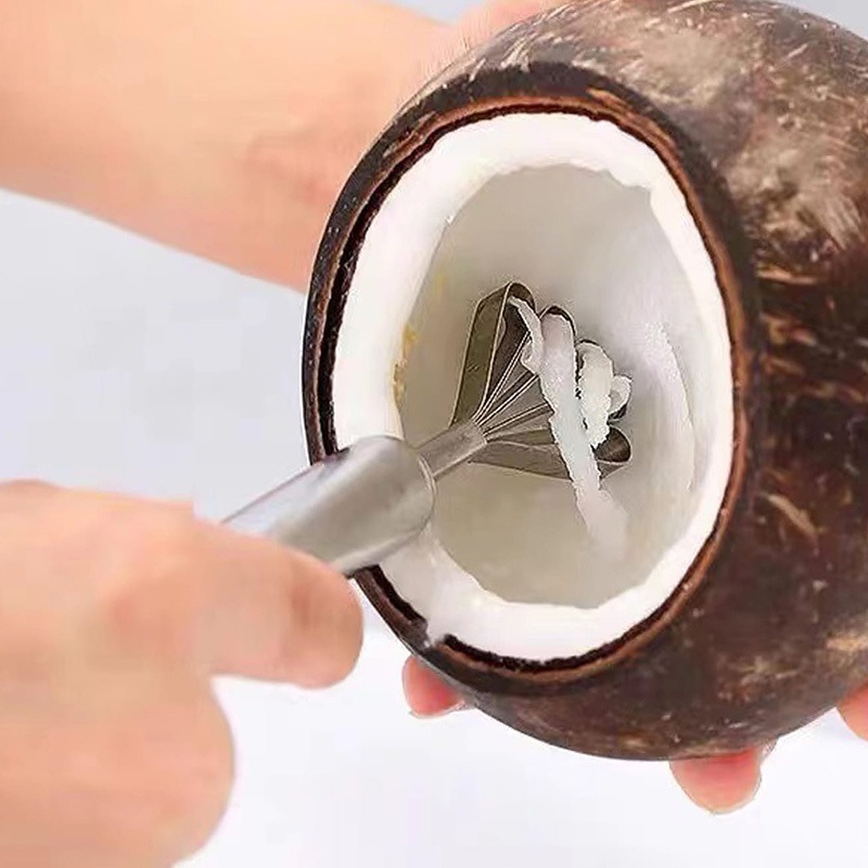 Coconut Grater Coconut Scraper Coconut Meat Removal Tool Coconut Shredder Coconut Cutter Opener Melon Scraper Coconut,Stainless Steel Coconut