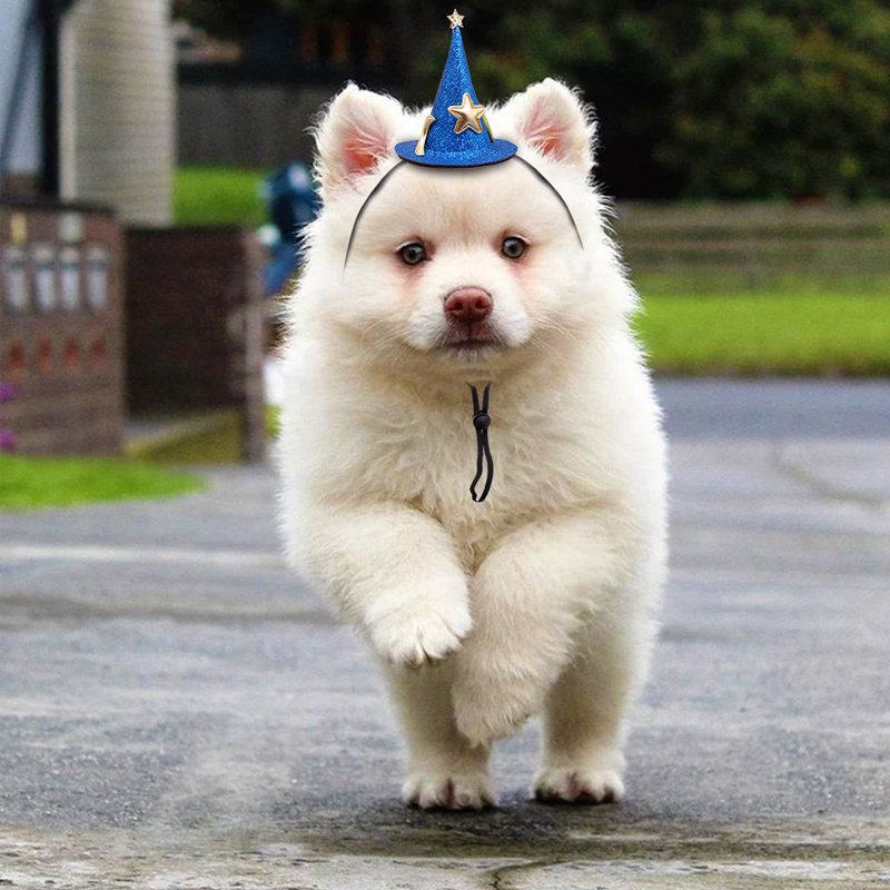Dog Hat - Temu