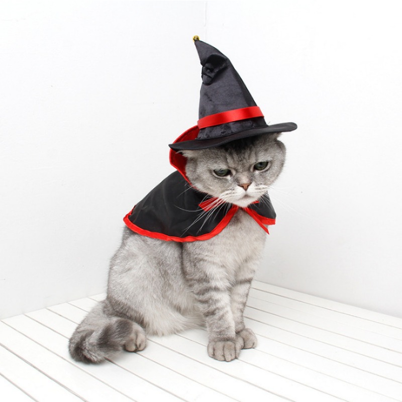 Cappello da strega per gatto Accessorio per foto di Halloween