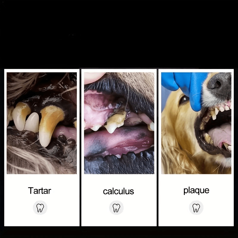 Dog hotsell tartar remover