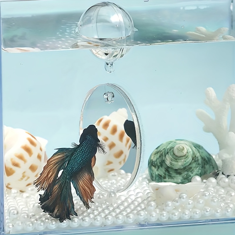 1pc Creative Betta Fish Training Mirror Aquarium Ornaments Tank Decor  Double Sided Mirror Betta Mirror Toy - Pet Supplies - Temu