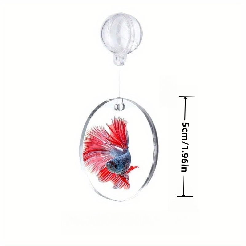 Betta mirror hot sale toy