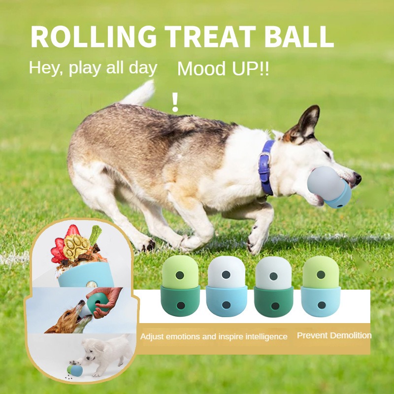 What Are The Benefits Of Dog Enrichment Toys In League City, TX? - Safari  Veterinary Care Centers