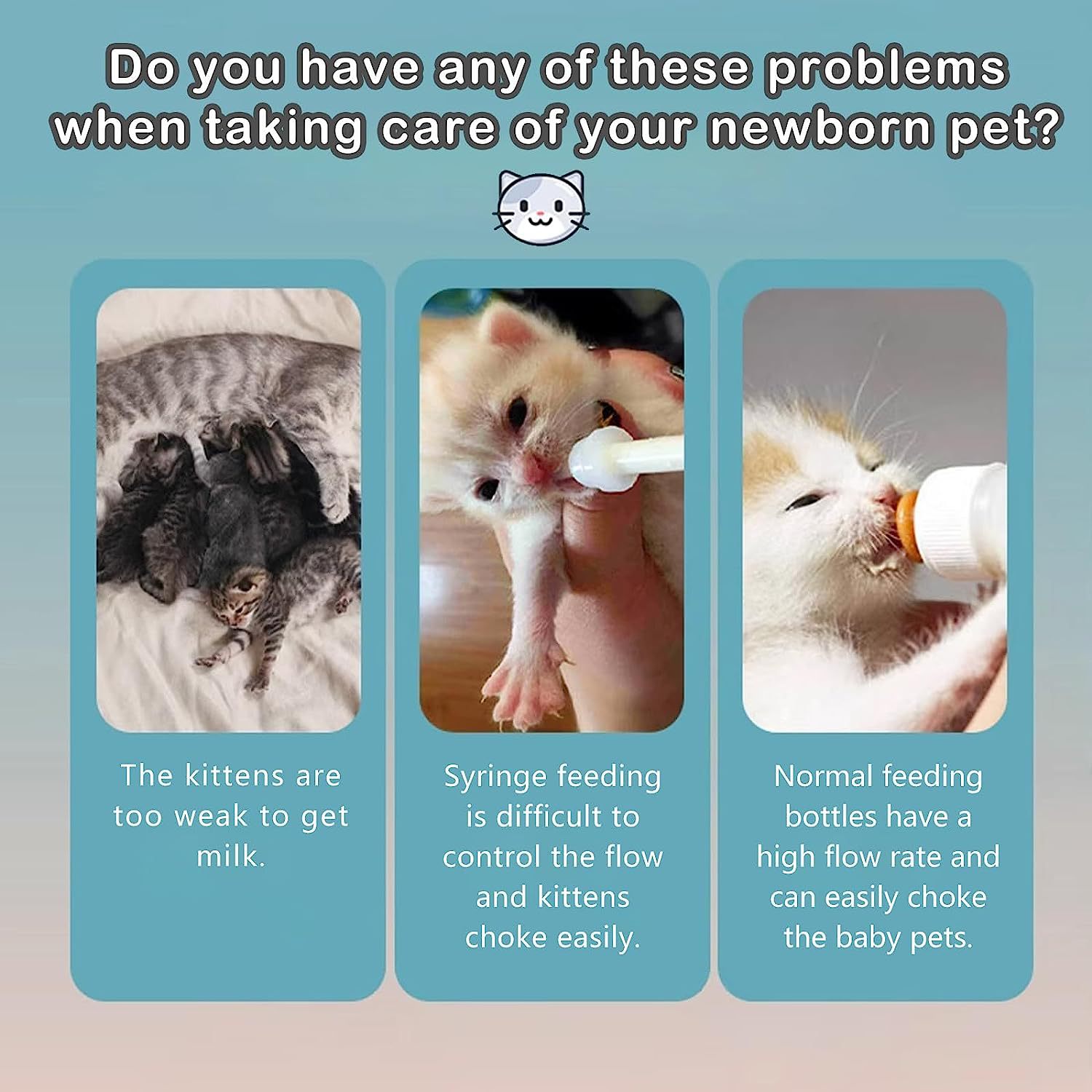 Kitten Care How To Get A Newborn Kitten To Eat Newborn Kitten Why