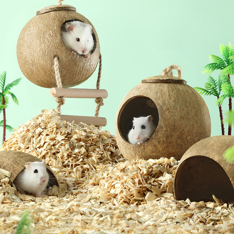 Coconut shop hamster house