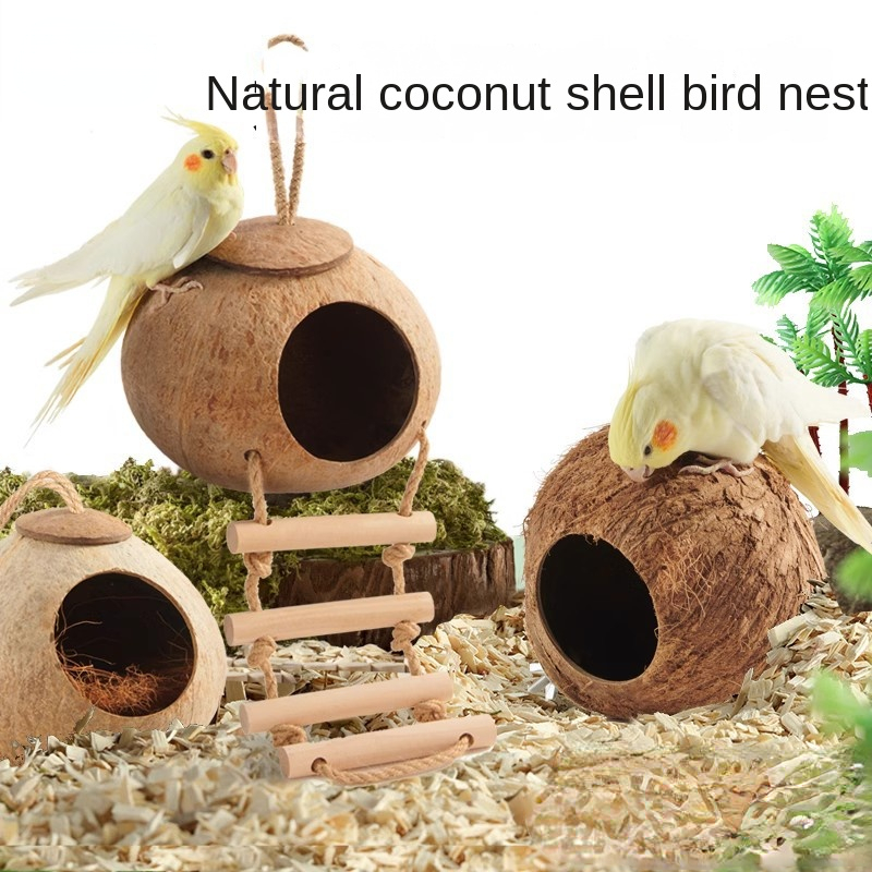 

Coconut Bird Nest Hut, Natural Hanging Birdhouse, Breathable Bird Cage House Shelter Nest With Ladder For Parakeet Budgie Cockatiel Finch Sparrows