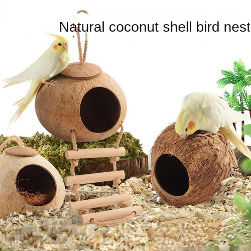 coconut bird nest hut natural coconut hut hanging birdhouse breathable bird cage house shelter nest with ladder for parakeet budgie cockatiel finch sparrows