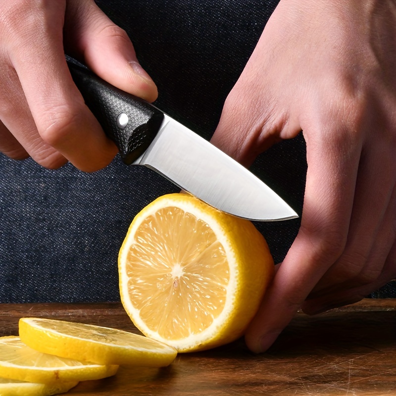 Outdoor Fruit Knife, Small Kitchen Knife, Kitchen Slicing Knife, Outdoor  Small Knife L9195 - Temu