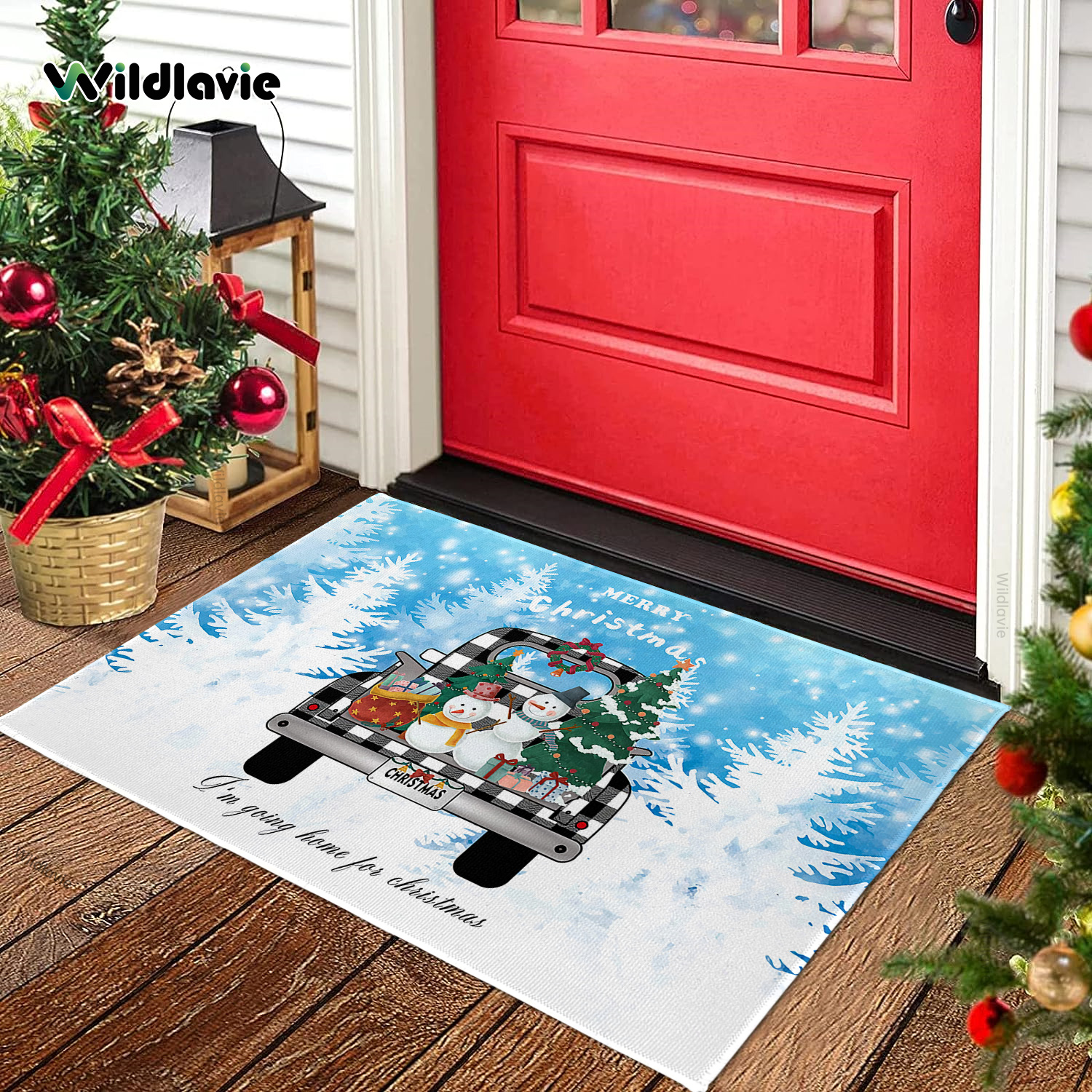 Christmas Mats for Front Door Cute Snowman Xmas Tree Truck Indoor
