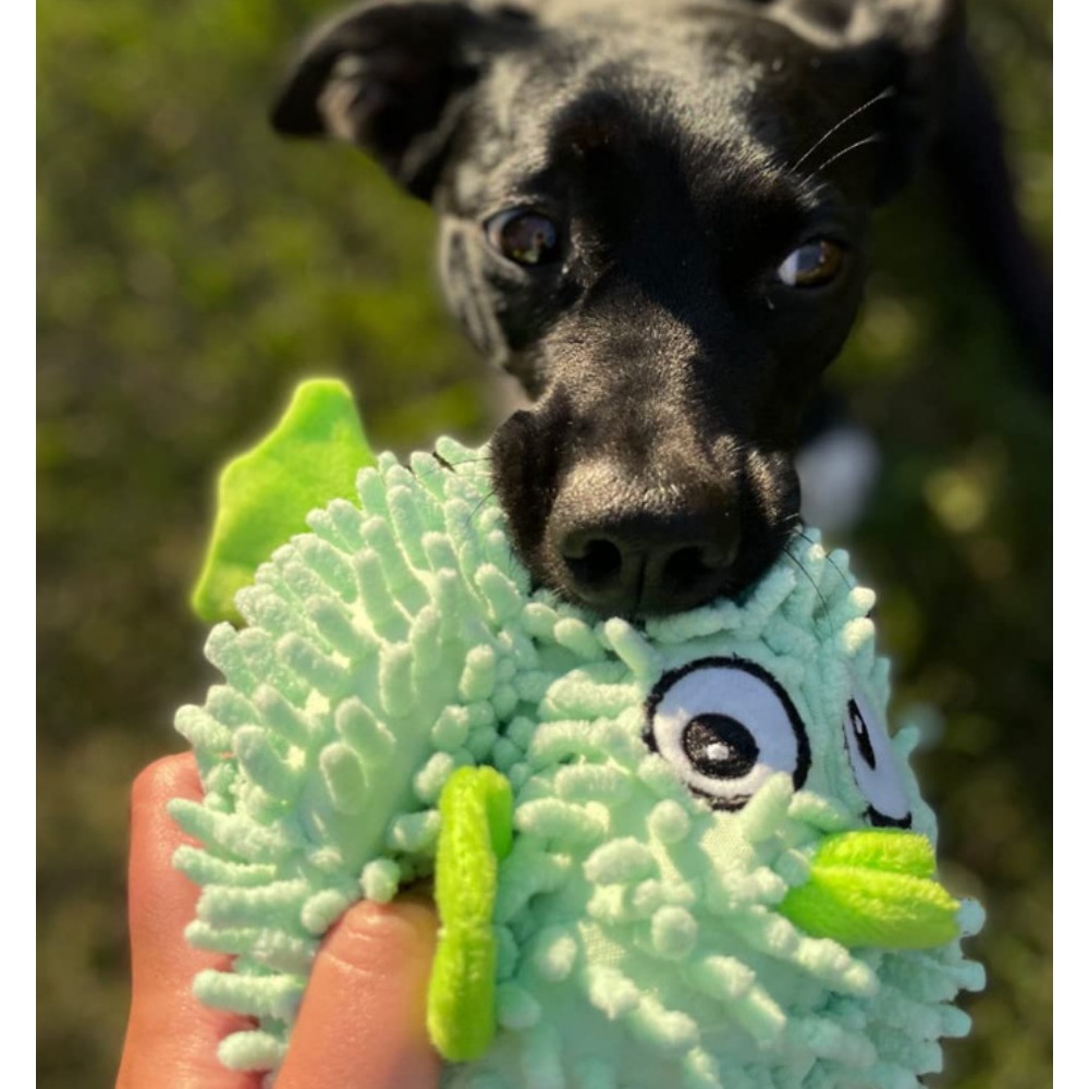 Puffer fish outlet dog toy