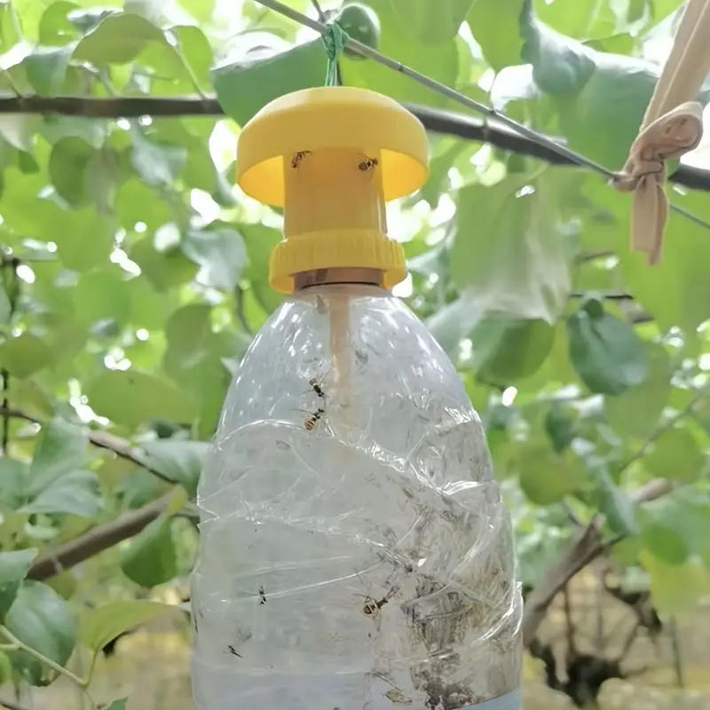 Eliminate Pests Instantly With This Yellow Plastic Fly Trap