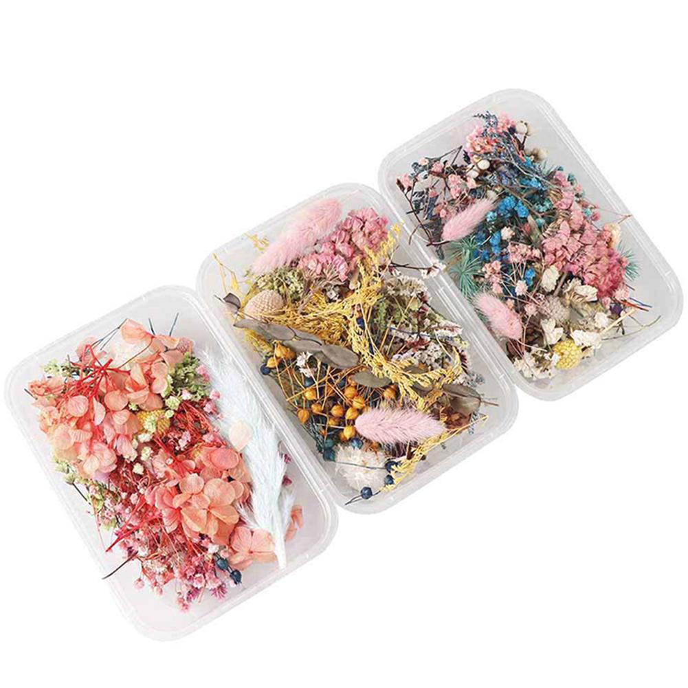 Boho Dried Flower Craft Box, Mixed Dried Flowers Confetti, Potpourri, Table  Decor, Resin Art, Soap Candle Making, Natural Real Flowers -  Norway