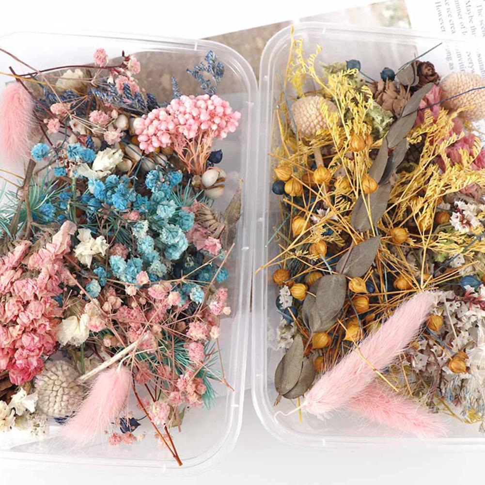 Real Dried Flower Confetti Bulk Figurines For DIY Art Crafts, Candle Making,  Jewellery, And Home Parties Decorative Epoxy Resin Dry Press Decor From  Luo09, $3.65