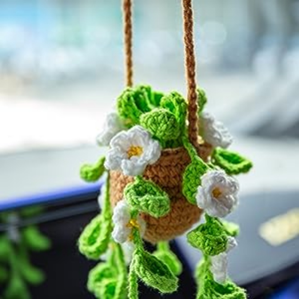 Super Cute Chestnut Brother Unique Hand crocheted Car - Temu