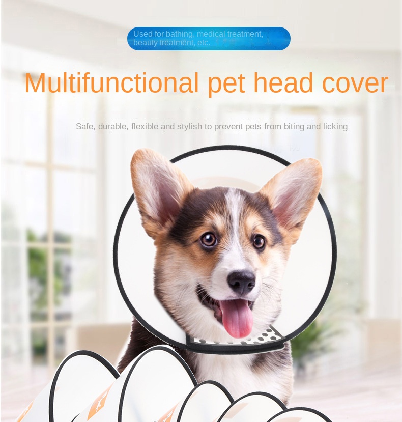 Pet Cone Collar Pet Recovery Cone Surgery Anti bite Lick Temu