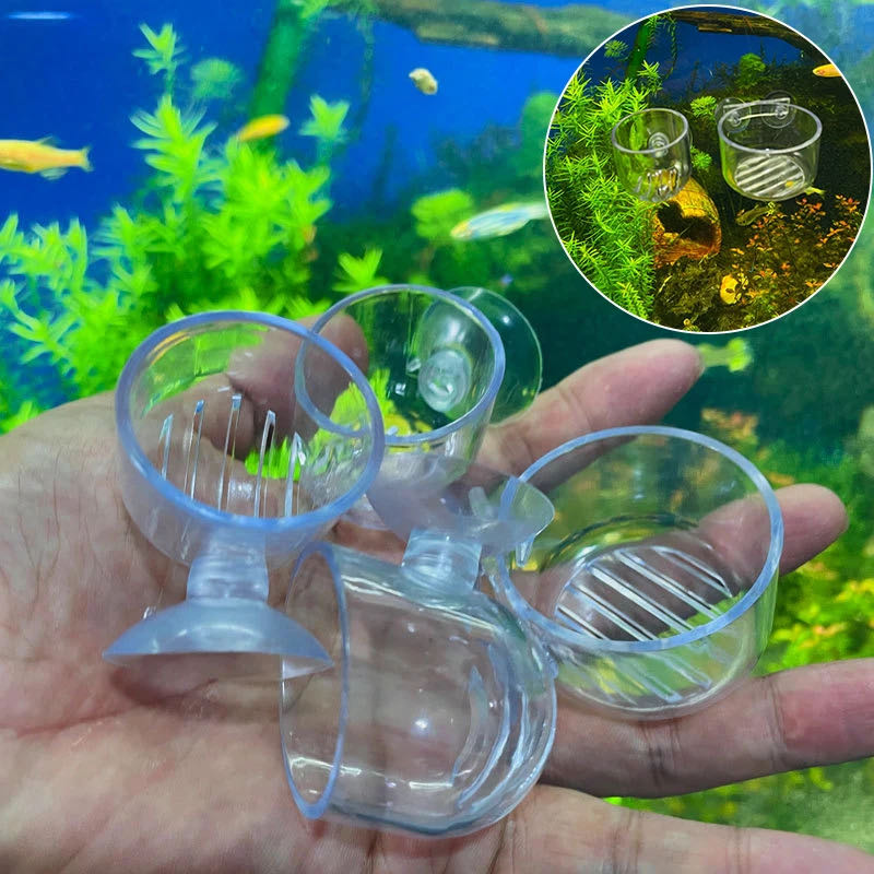 Accessoire pour aquarium en verre - Île de Pâques ancienne - Décoration  d'aquarium