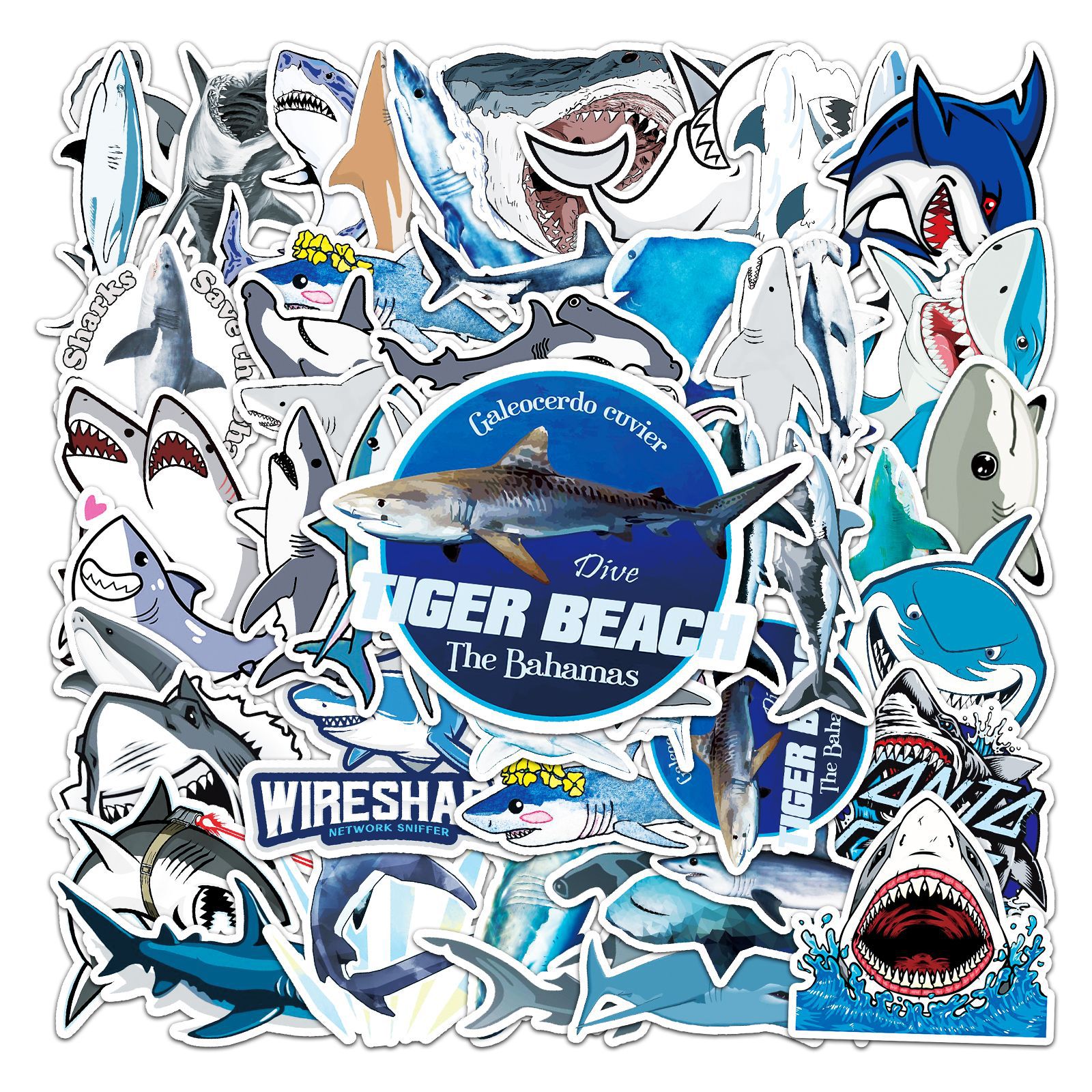 50pcs SHARK Stickers Cool Room DIY Waterproof Decoration Suitable For  Mobile Phone Computer Shell Wall Skate Water Cup Windows General Purpose  Teens A