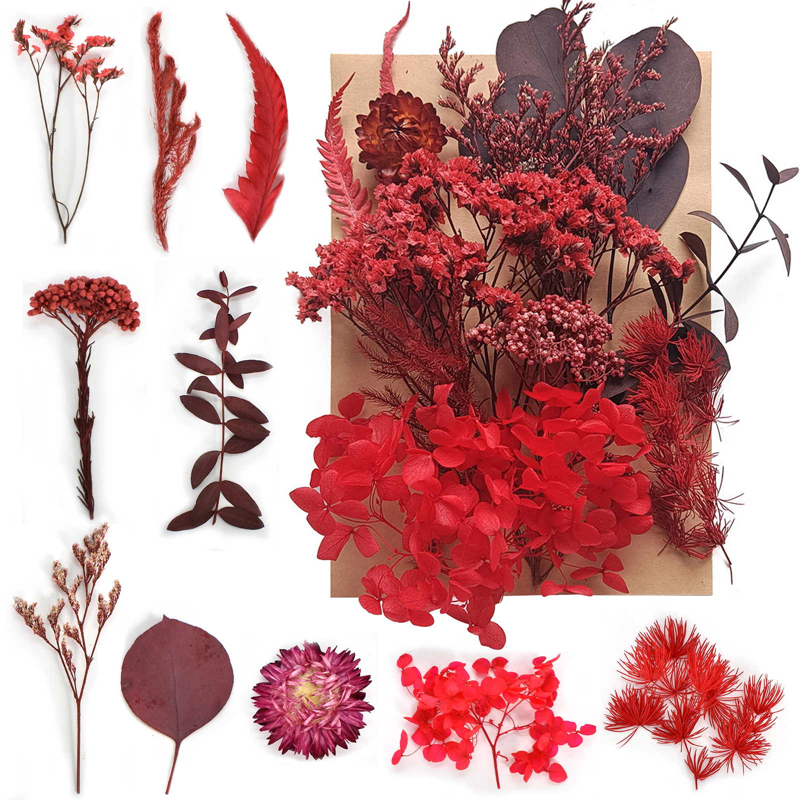 Colorful Real Dried Pressed Flowers Scrapbooking DIY Art Crafts Dried Flowers for Art Makeup Floral Decors 6