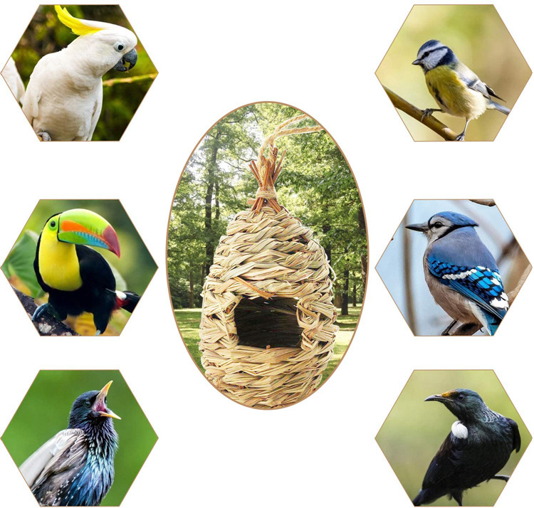 Véritable nid d'oiseau tissé par oiseau, maison d'oiseau, décoration de la  maison avec nid, nid de décoration de jardin -  France