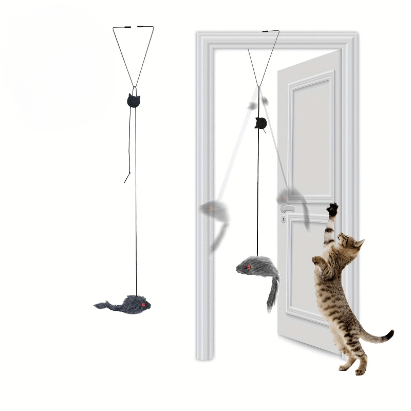 Cat Wand Toys Rainbow Retractable Cat Fishing Pole Interactive Catcher for  Indoor Cats Funny Exercise with Kitten, 5pcs Repl
