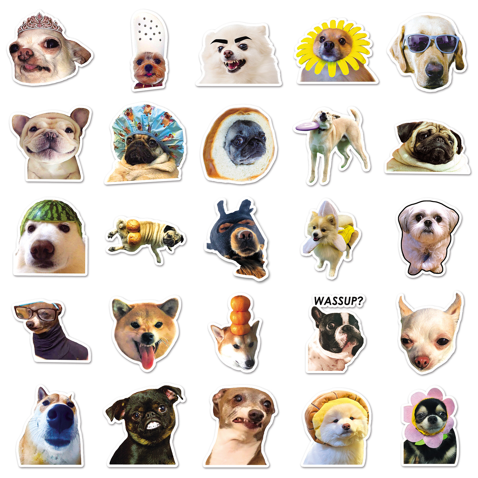 Animal Meme Stickers 