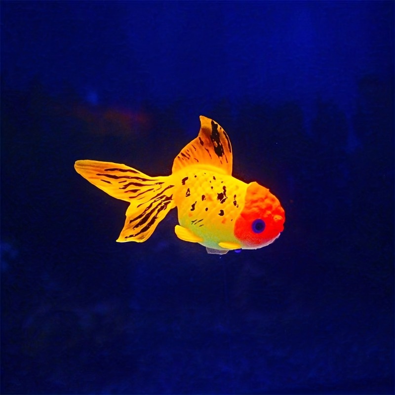 9pcs Artificial Aquarium Fishes Plastic Fish Realistic Artificial Moving  Floating Orange Goldfish Fish Ornament Decorations Fish Tank - Pet Supplies  - Temu