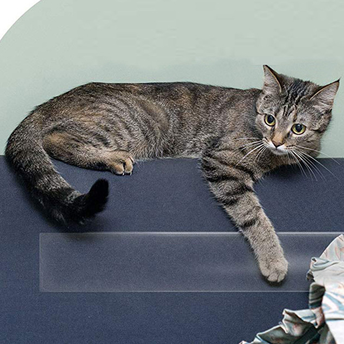 Anti Cat Scratch Furniture Protectors from Cats, Cat Scratch