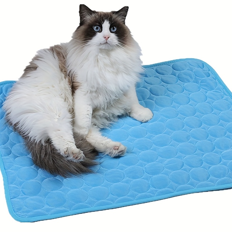 Cooling blanket outlet for dogs