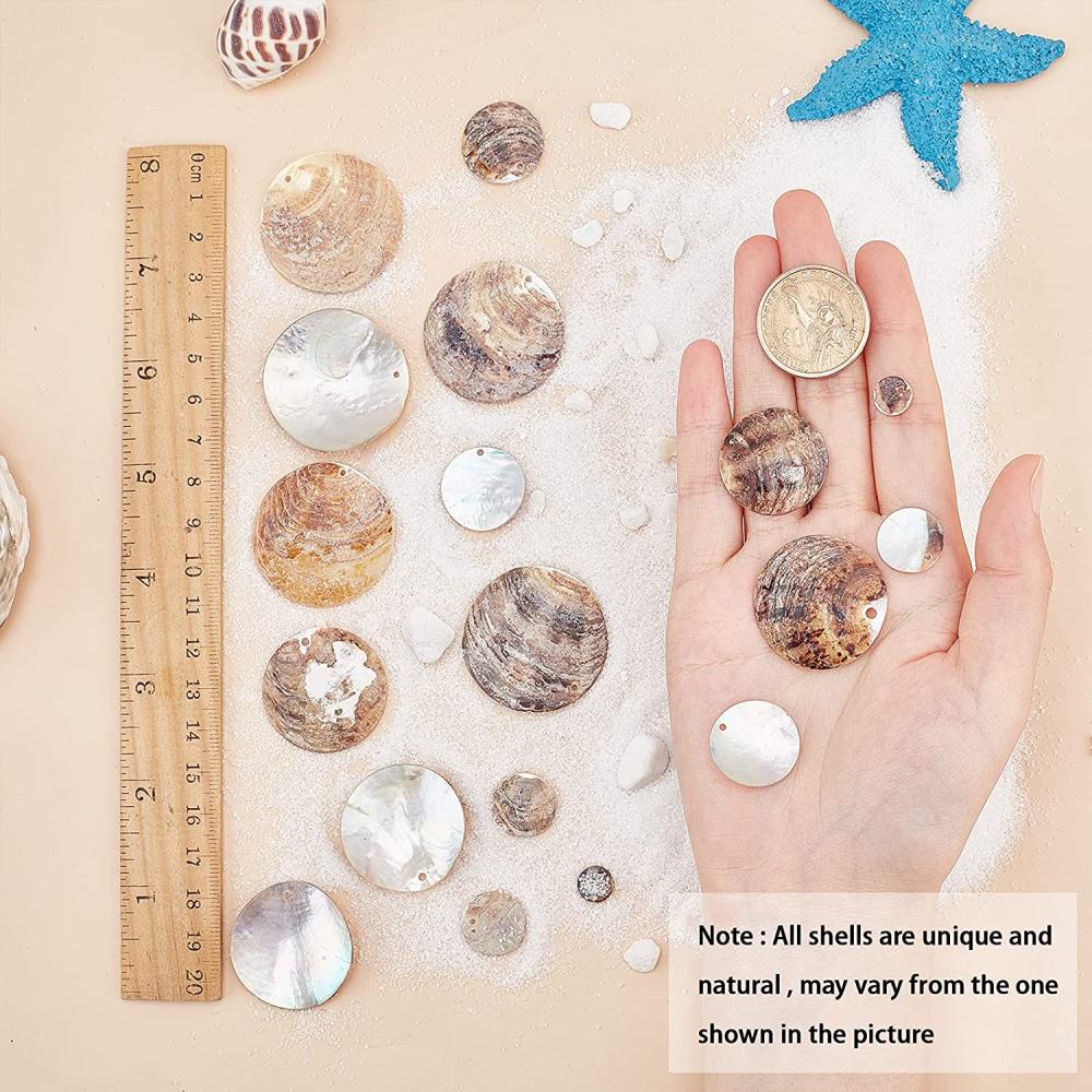 10 pcs Sliced Shells Seashells For Crafts DIY Art Projects Making Decor 3 -  5 cm
