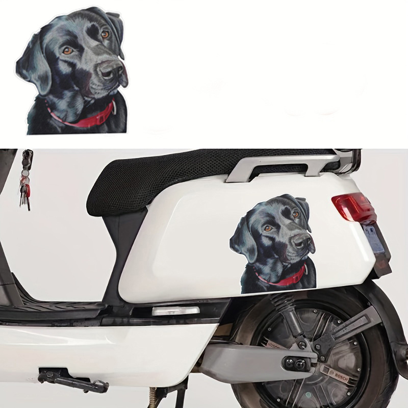 Service Dog Car Sticker Laptop Bottle Truck Phone Vehicle - Temu