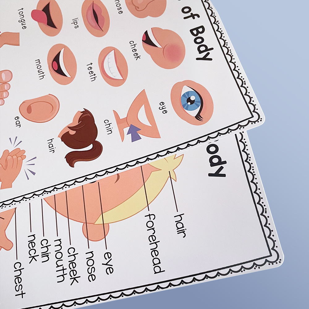 A4 Human Body Educational Learning Posters Body Parts - Temu United