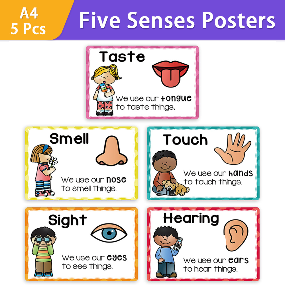 Wall Poster Educational Classroom Chart Teach - Temu