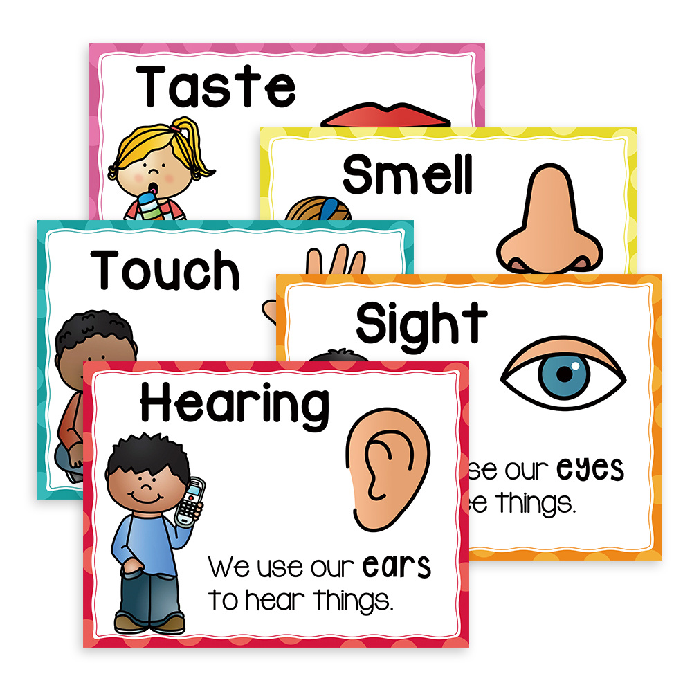 Five Senses Wall Poster Educational Classroom Chart Teach - Temu