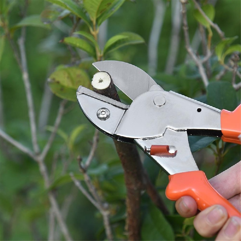 Professional SK-5 Heavy Duty Long Handle Garden Pruning Shears Clippers  Cutter – ASA College: Florida