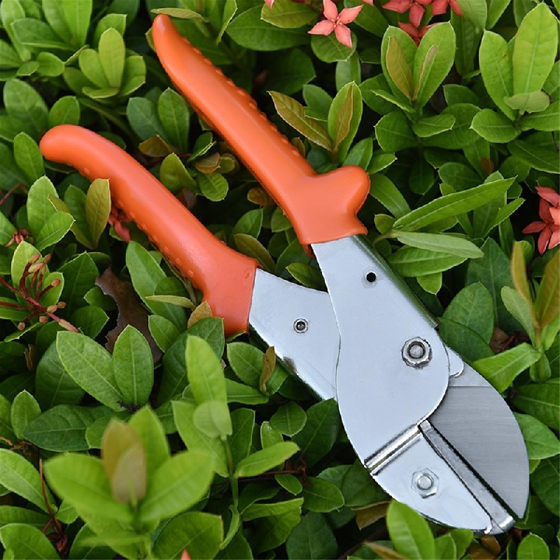 Professional Steel Garden Scissors Pruner Trimming Gardening Hand Tree  Pruning Shears for Flowers 