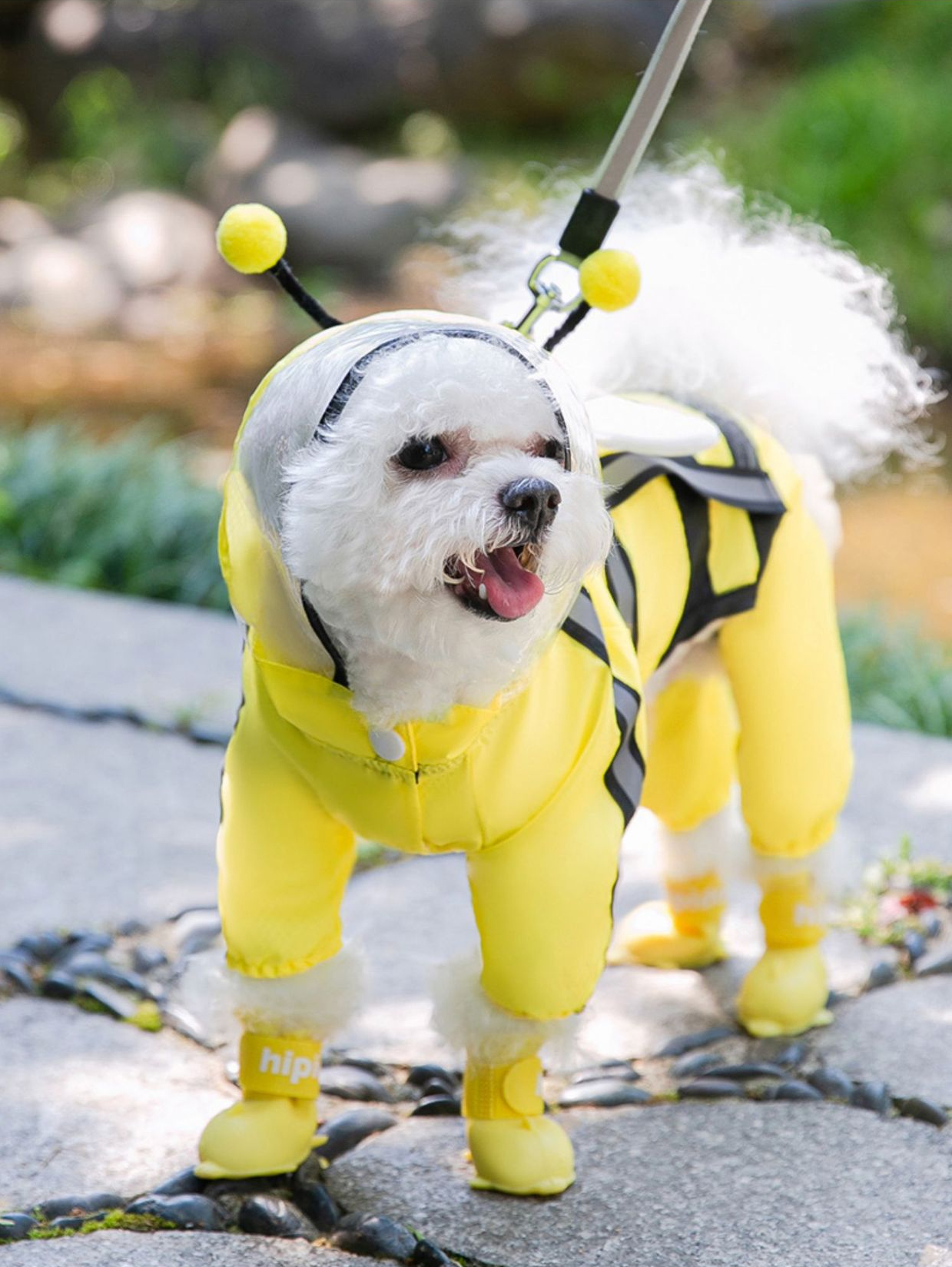 Dog Raincoat Bee Transparent Hooded Poncho Rain Waterproof Clothes For