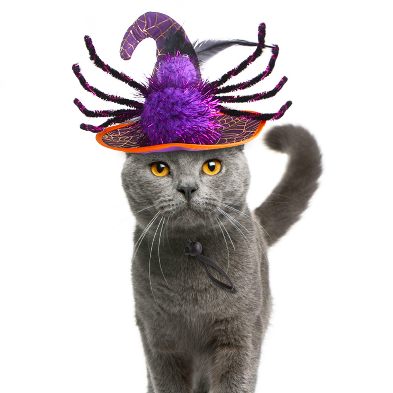 Purple Wizard Cat Hat Wizard Hat for Cat Wizard Hat for 