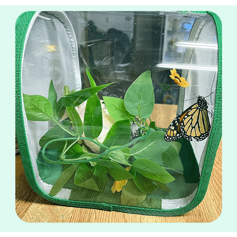 Butterfly Net Cage - Temu