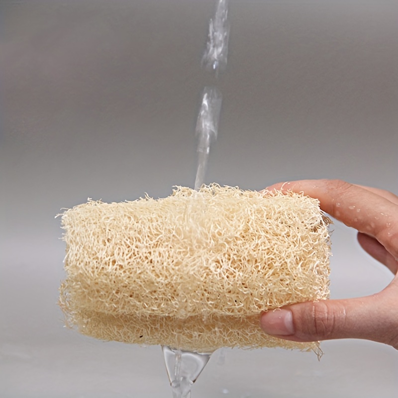 4 Loofah dishwashing Natural sponge scrubber compostable Rectangle from  Vietnam