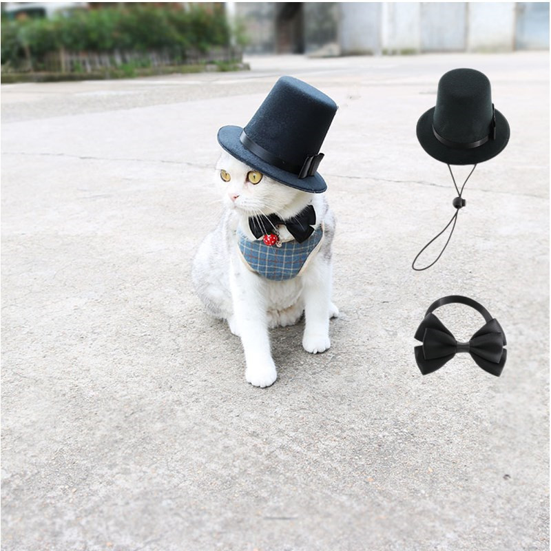Hats For Cats - Temu
